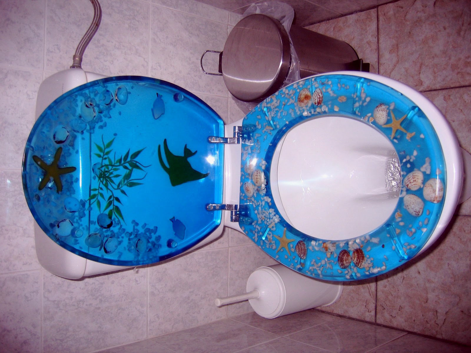 [Toilet+by+the+Sea.JPG]