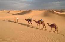 [DESERTO+SAHARA.jpg]