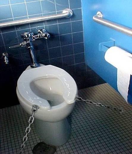 [women's+toilet+seat.jpg]