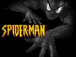 Spiderman Rocks too!!!