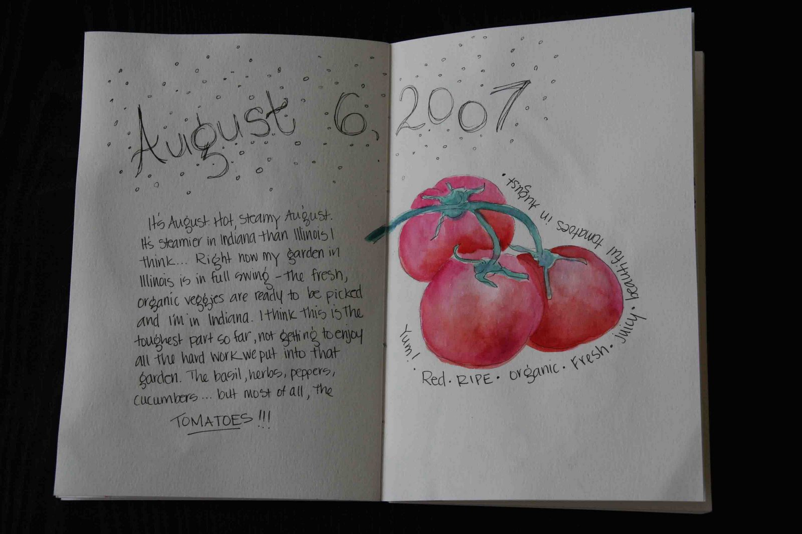 [07+Aug+Tomatoes.jpg]