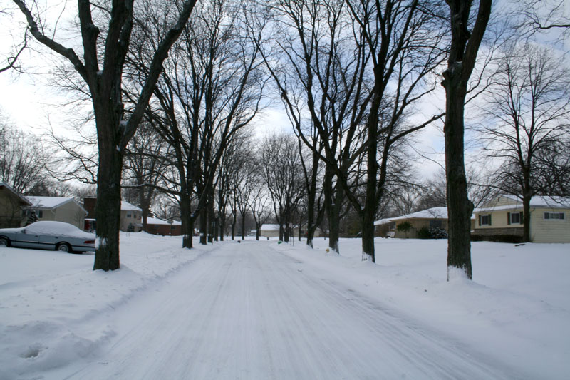 [5139.our+street.snow.jpg]