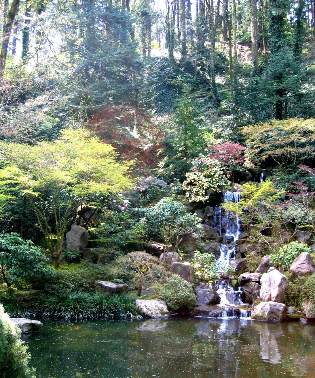 [waterfall+Garden.JPG]