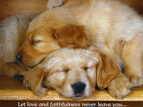 [Love_and_Faithfulness.jpg]