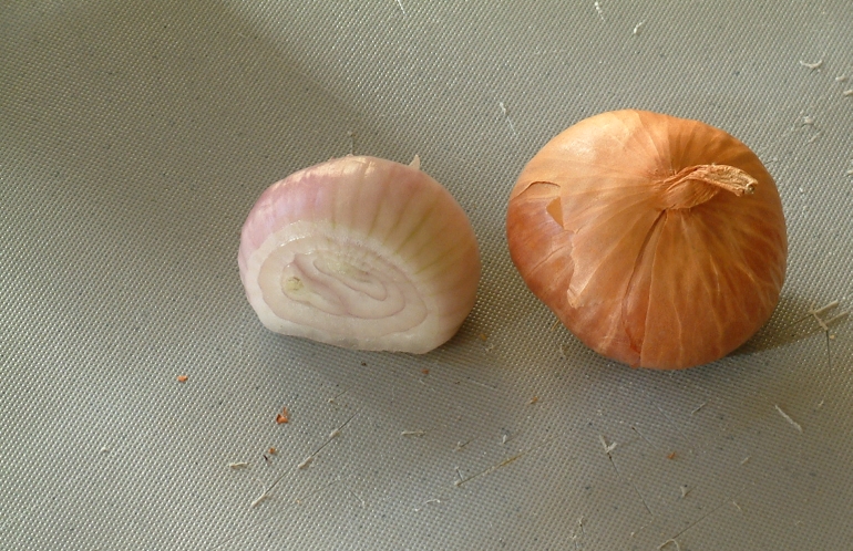 [Shallots_-_sliced_and_whole.jpg]
