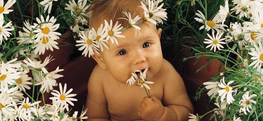 [bebé+flores.jpg]