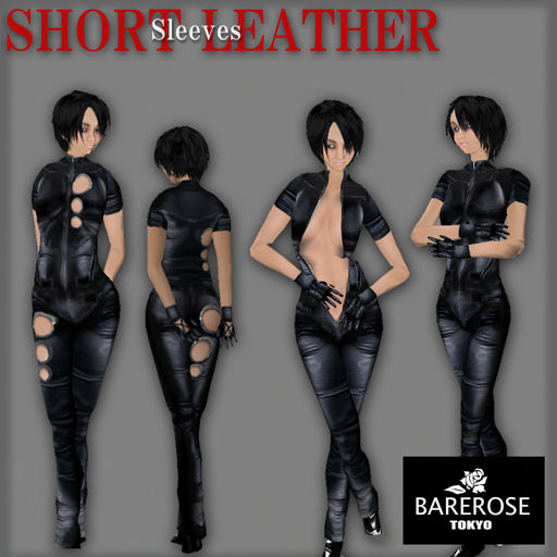 [Short+Leather+updated.jpg]