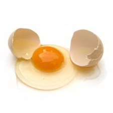 [eggCopy.jpg]