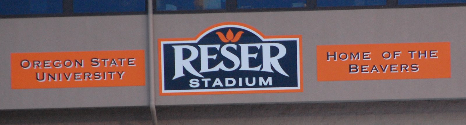 [Reser+Stadium.jpg]