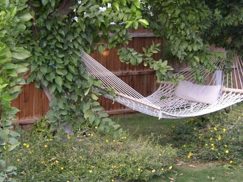 COME AND RELAX IN OUR HAMMOCK, GRANDMA!  LOVE, TOM, SANDY, AND KIDS