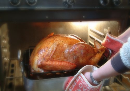 [thanksgiving-turkey.jpg]