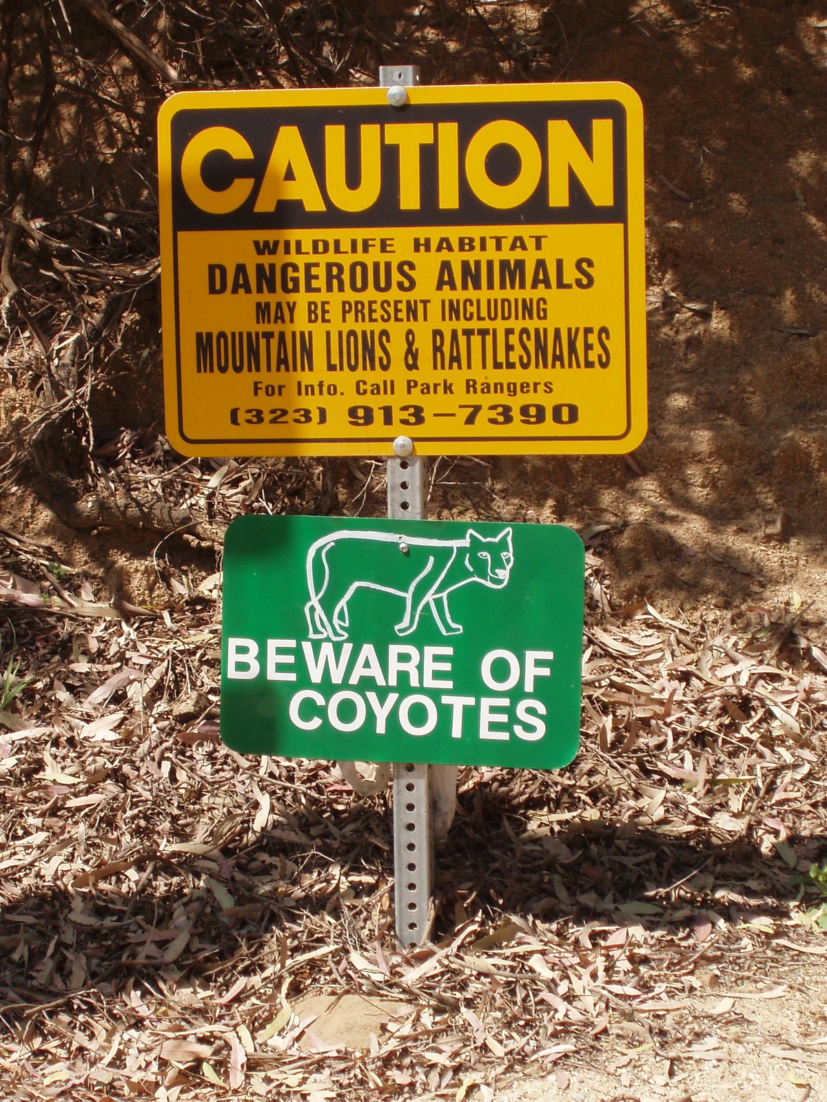 [Beware+of+Coyotes.jpg]