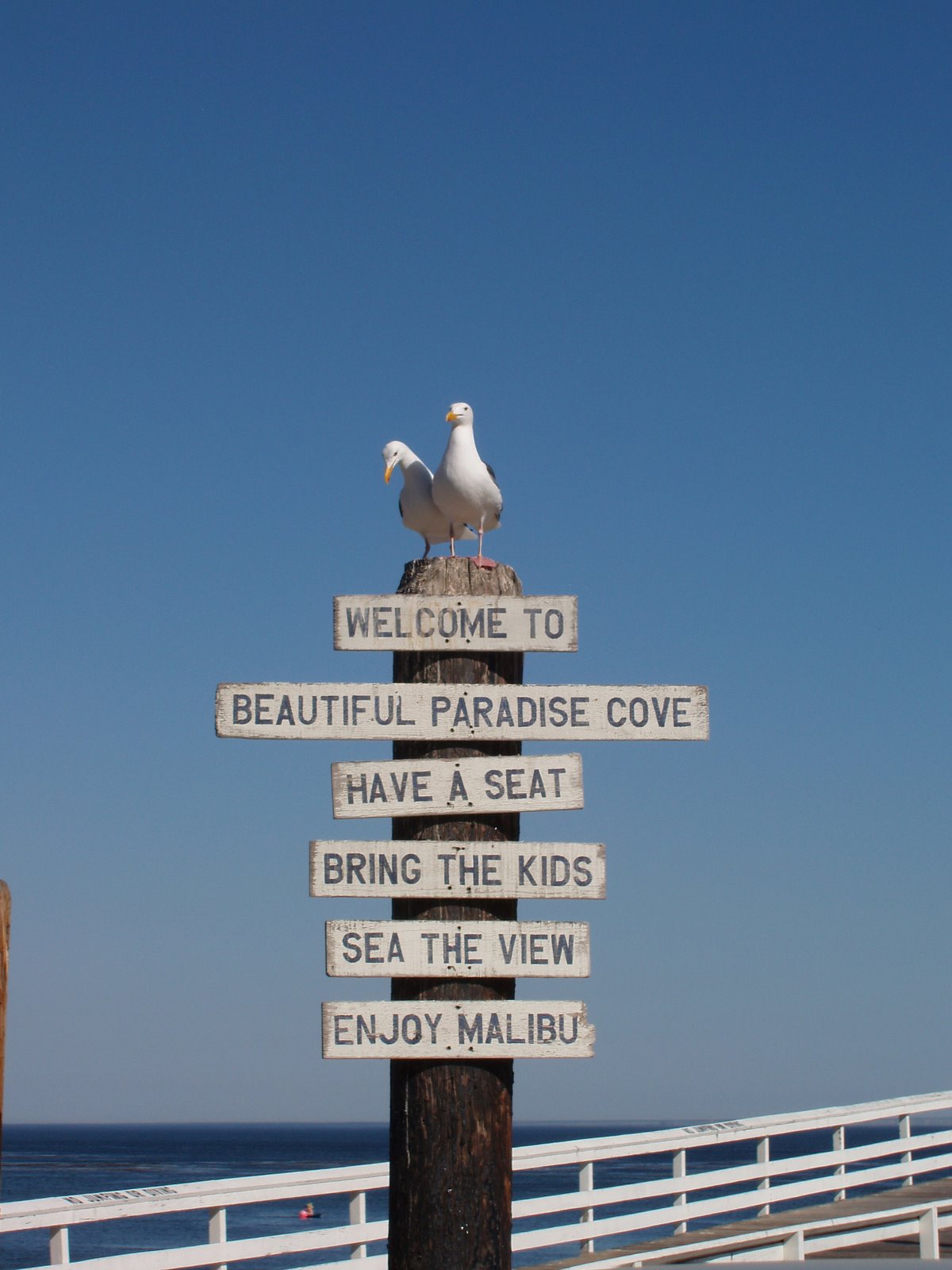 [Welcome+to+Paradise+Cove+Malibu+sign.jpg]