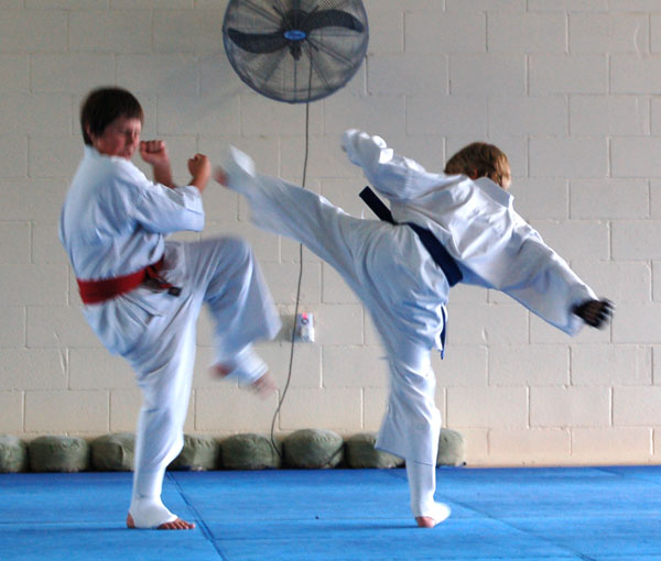 [Karate+Grading+6+April+2008+045edit.jpg]