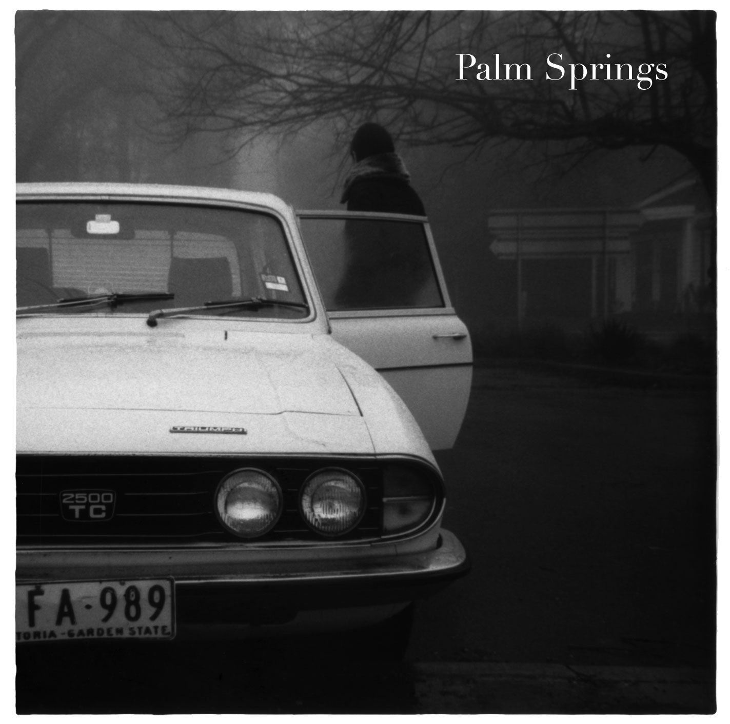 [palm+spring.jpg]