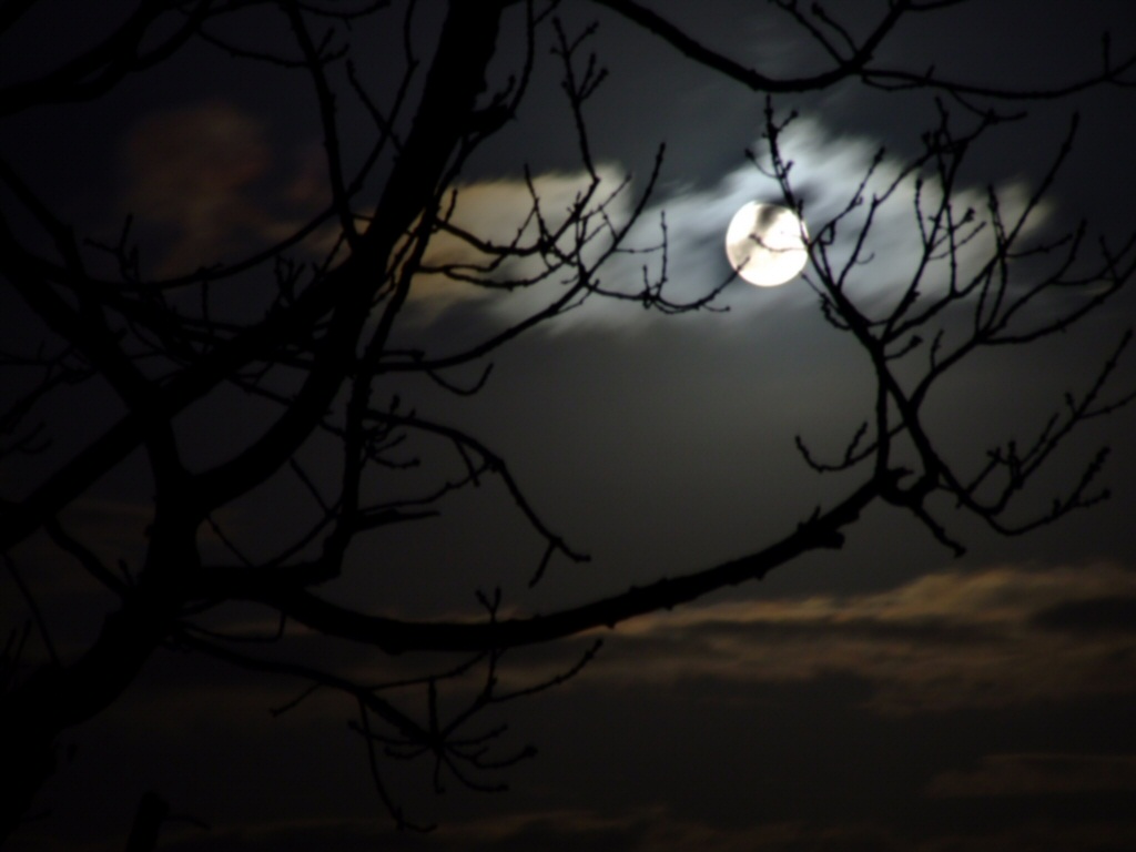 [moonlight-ireland3.jpg]