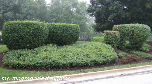 Why I Hate American Topiary & the Abuse of Stella