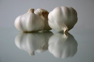 [garlic.jpg]