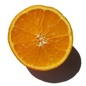 [orange+-+cut.jpg]
