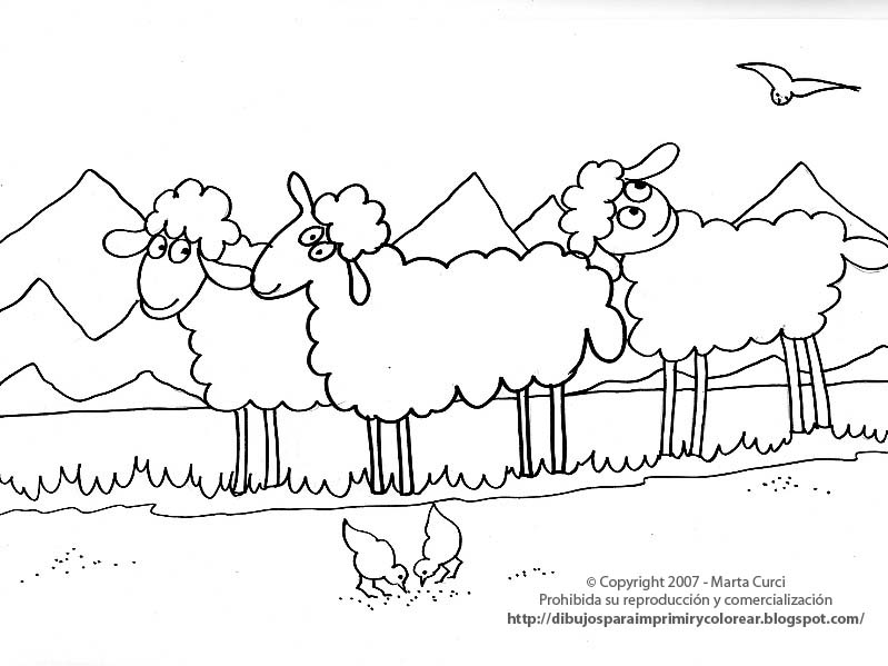 [Dibujo+de+ovejas+para+colorear.jpg]