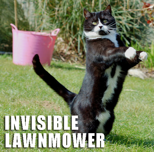 [invisible+lawnmower.jpg]