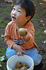 [Asher+and+the+fuzzy+fruit.jpg]