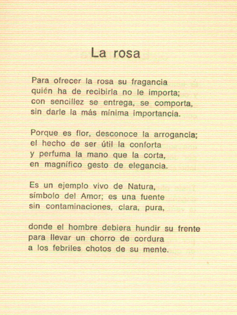 [La+rosa+poesía.jpg]