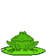 [Frog_jumps_4.gif]