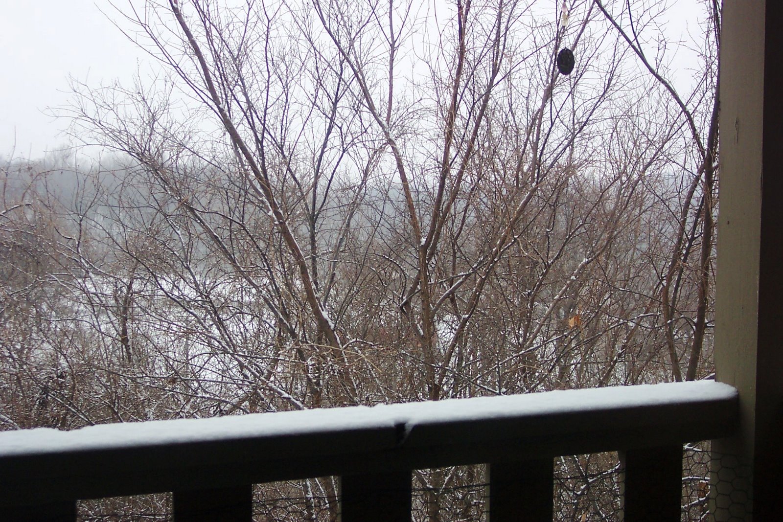[Snow+Day+005.jpg]