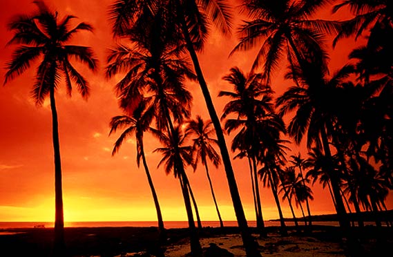 [hawaii+sunset.jpg]