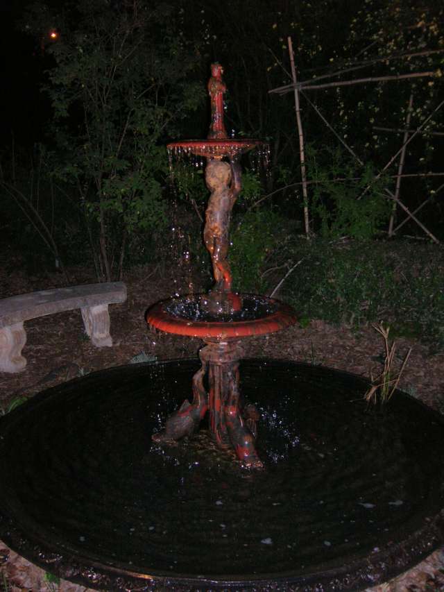 [Resized+night+fountain+picture.jpg]