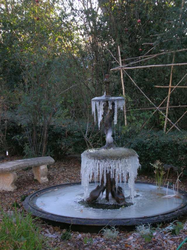 [Resized+Frozen+Fountain+December+2006.jpg]