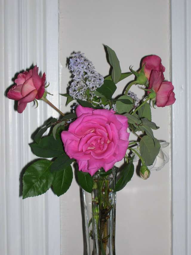 [Resized+vase+of+roses+and+lilacs.jpg]