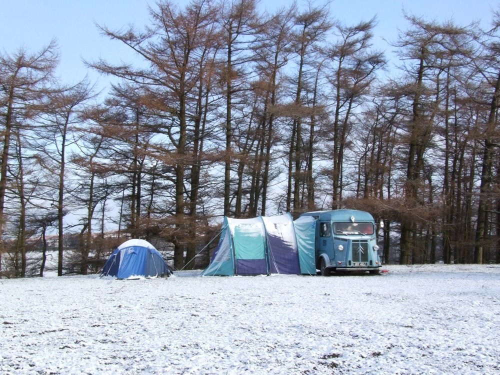 [snowy+camp+pippin.JPG]