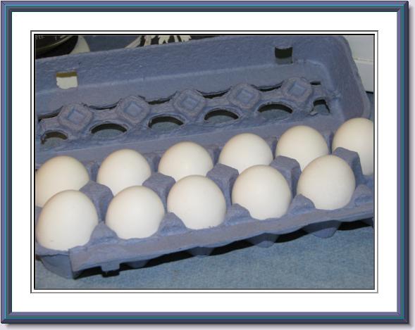 [2008_3_19+eggs.jpg]