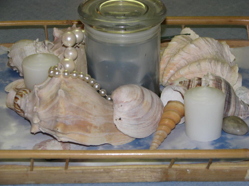 [shells+and+pearls2.jpg]