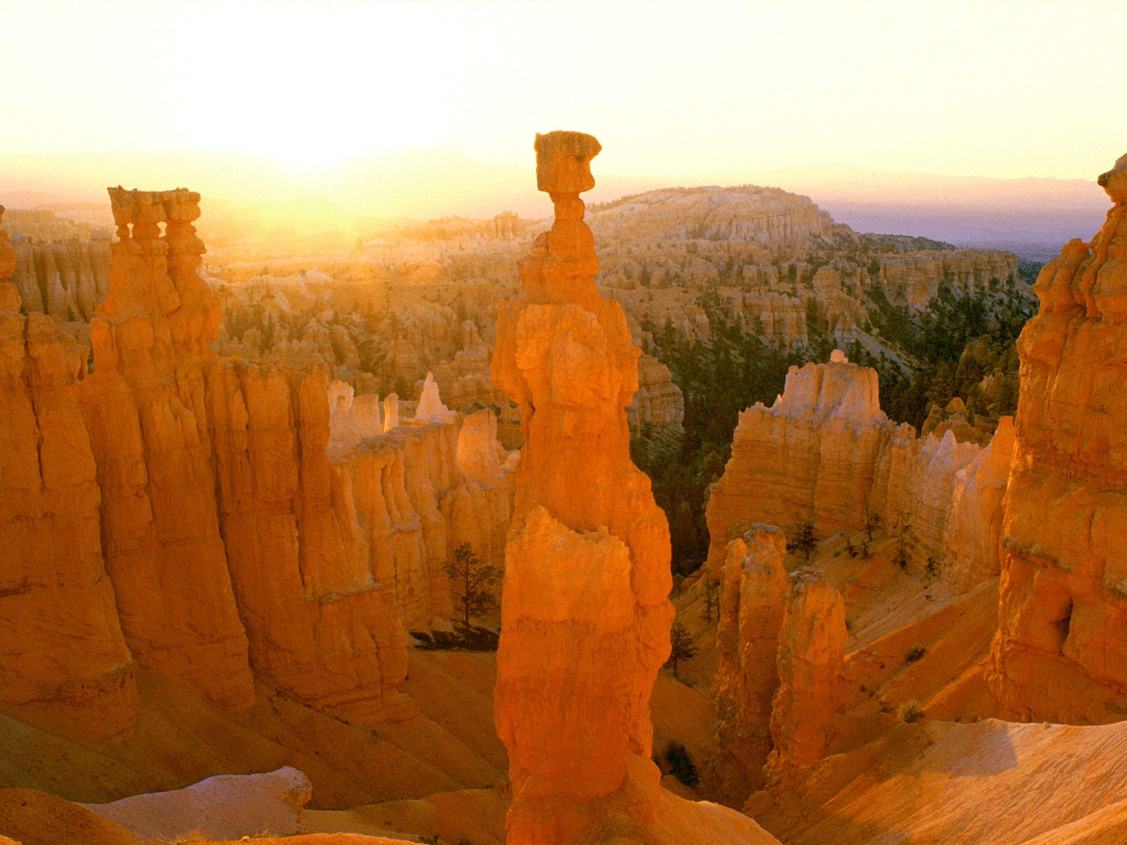 [Sunrise-Colors-Thor__s-Hammer_-Bryce-Canyon_-Utah.jpg]
