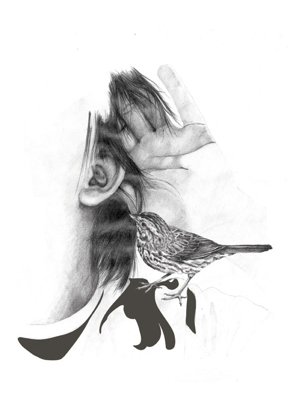 [birdhand.jpg]