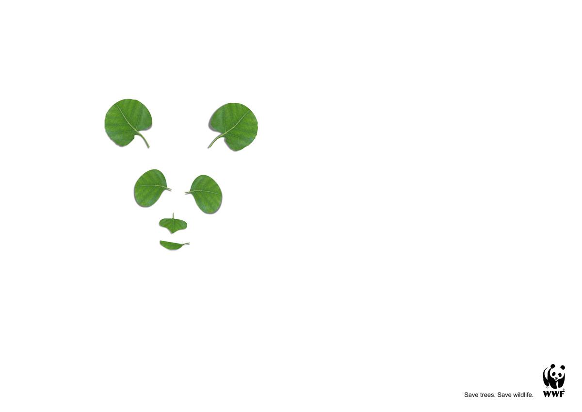 [Panda.jpg]