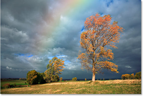 [rainbow-trees.jpg]