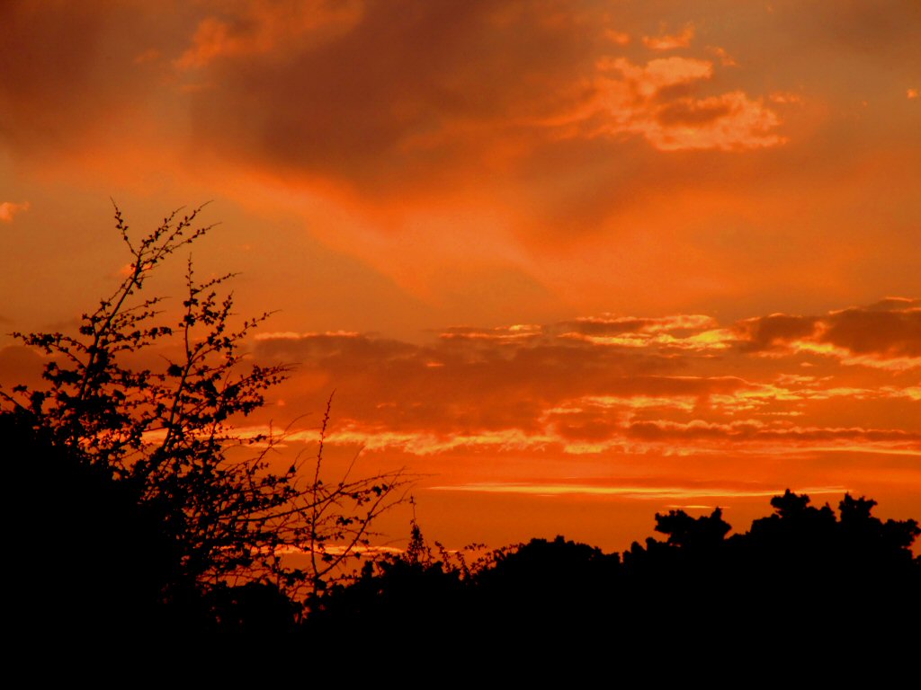 [sunset-ireland.jpg]