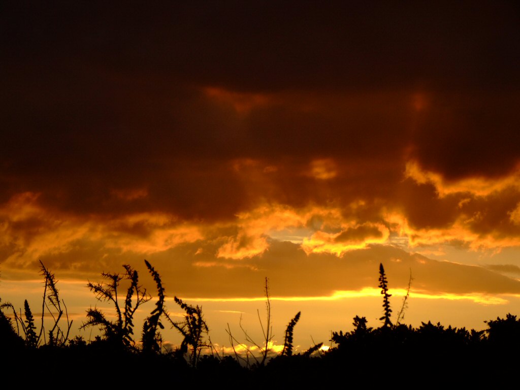 [sunset-ireland3.jpg]