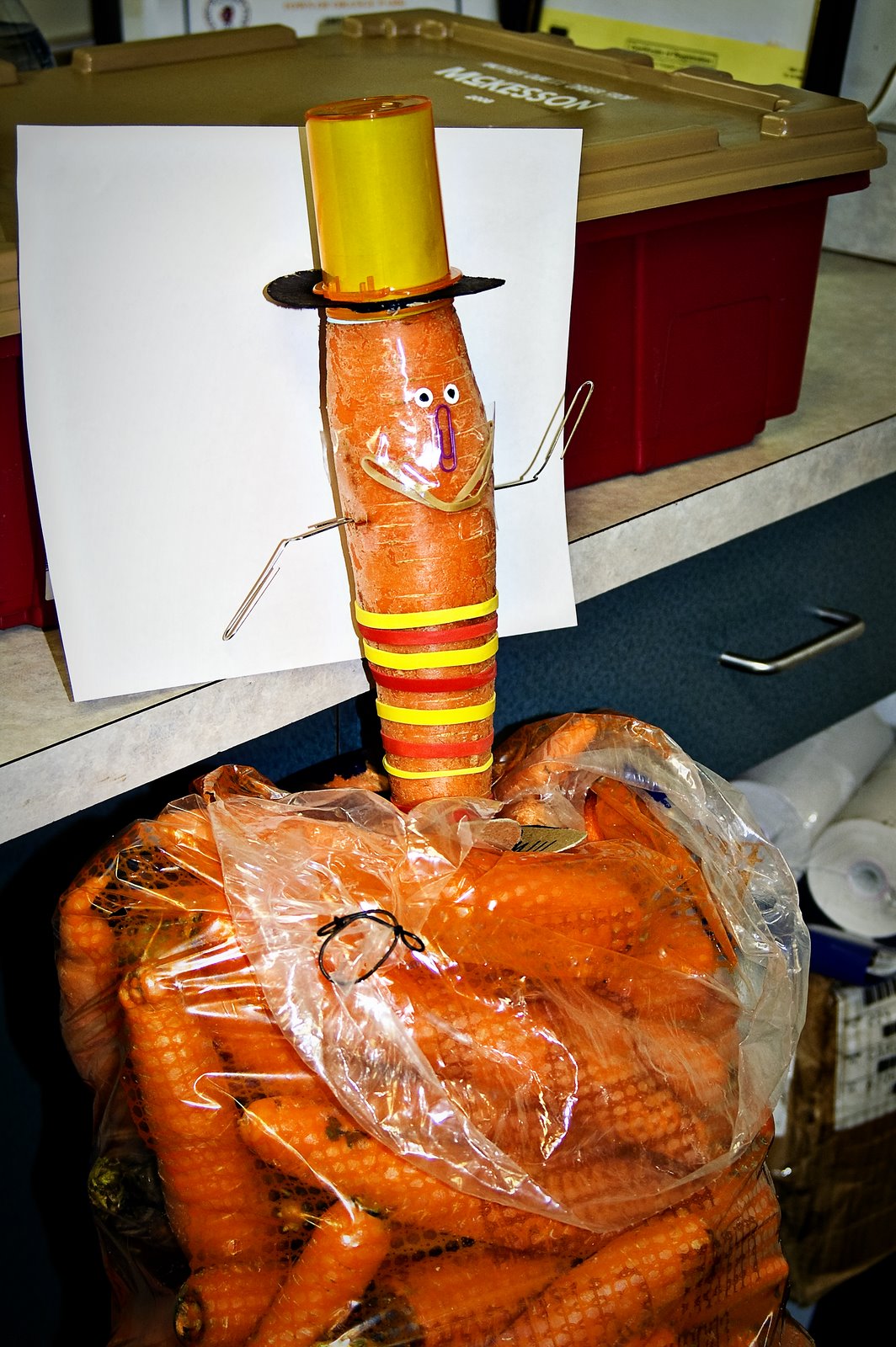 [Mr+Carrot+evolving.jpg]