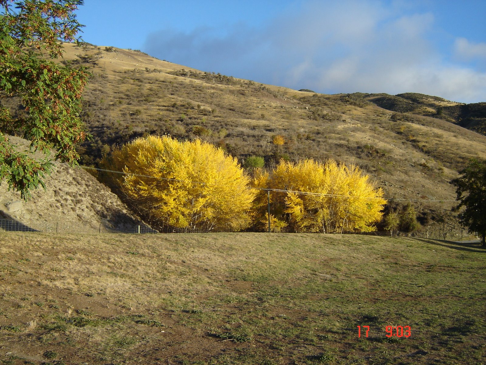 [Otago+is+living+up+to+it's+name+for+autumn+colours.jpg]