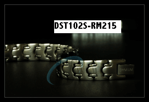 [DST102S_215.gif]