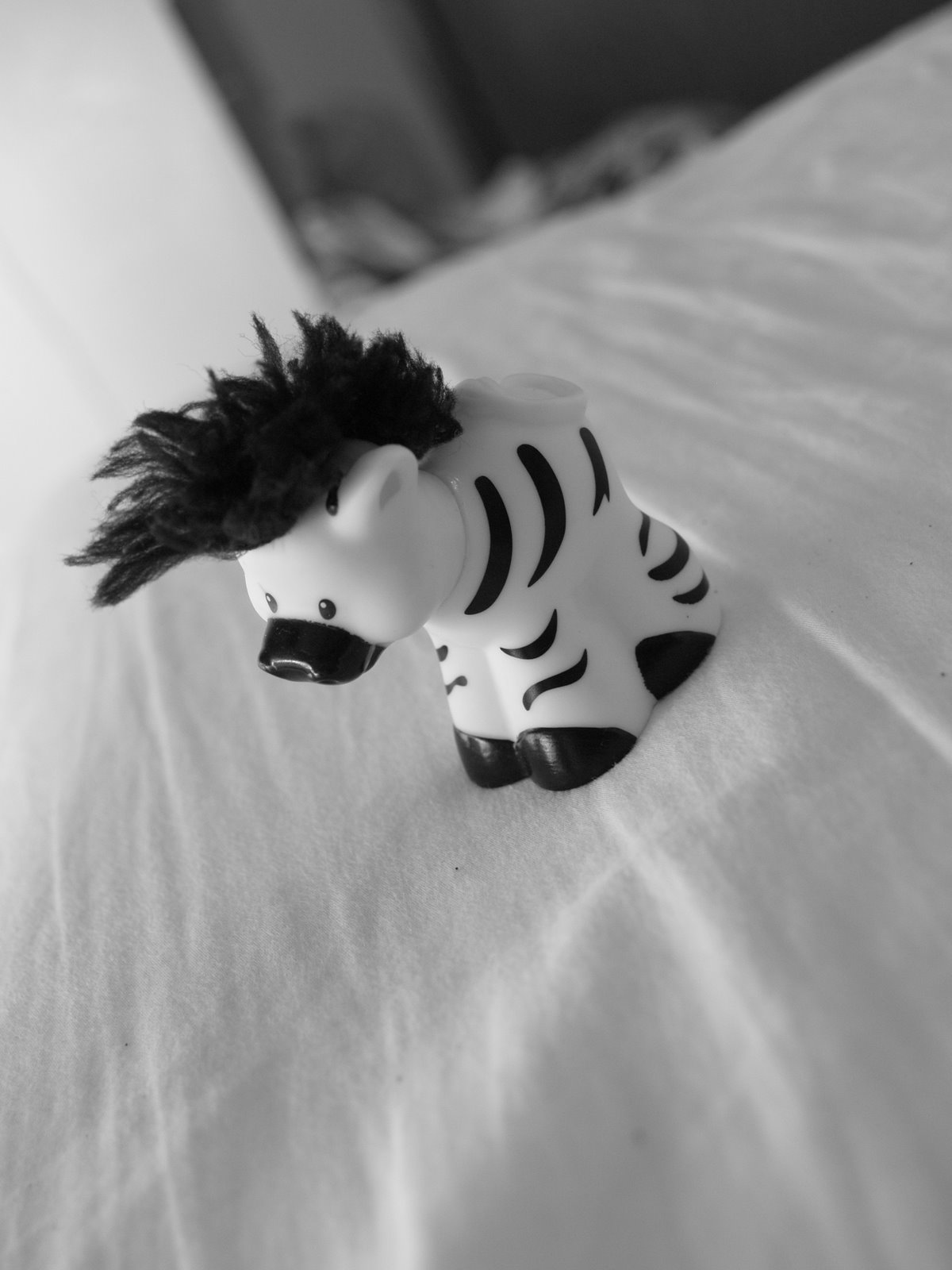 [zebra.jpg]