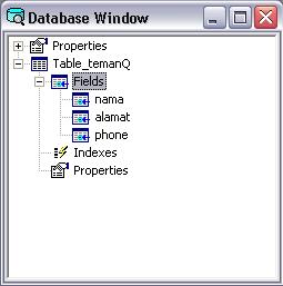 [database_window.JPG]