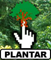 [Plantar.jpg]