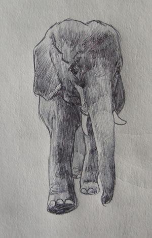[41.+Elephant+(detail).jpg]