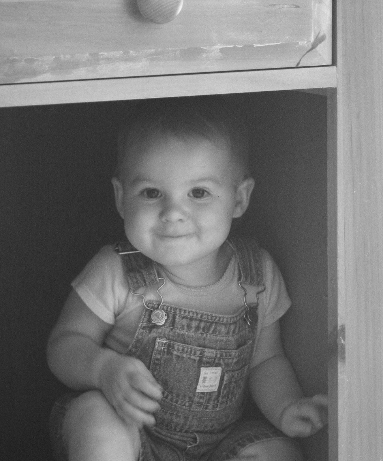 [Josie+in+cupboard.jpg]
